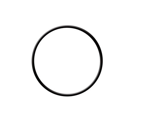Fuel Tank Sending Unit O-Ring Seal 280ZX 1979-1983