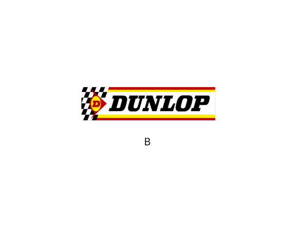 Rally Safari Livery Sticker Decal 240Z 260Z 280Z 510